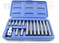 Toolzone 15Pc Star Bits With 1/2" Adapto